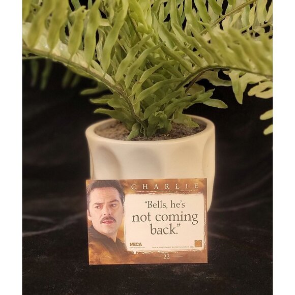 Collectible Charlie Swan Trading Card, New Moon - Picture 6 of 6